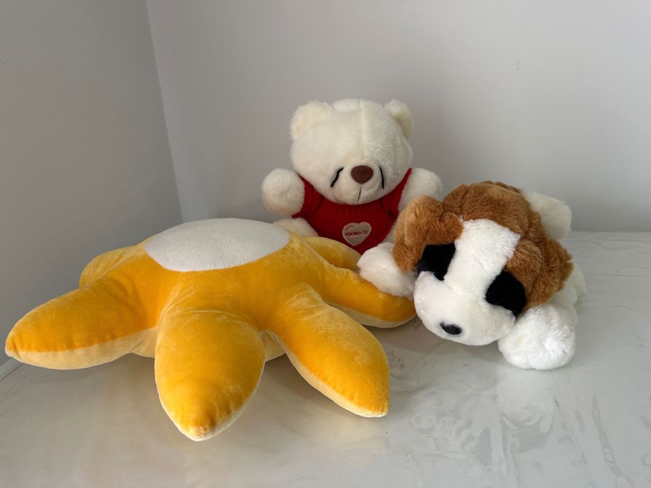 Ursos de pelúcia vários