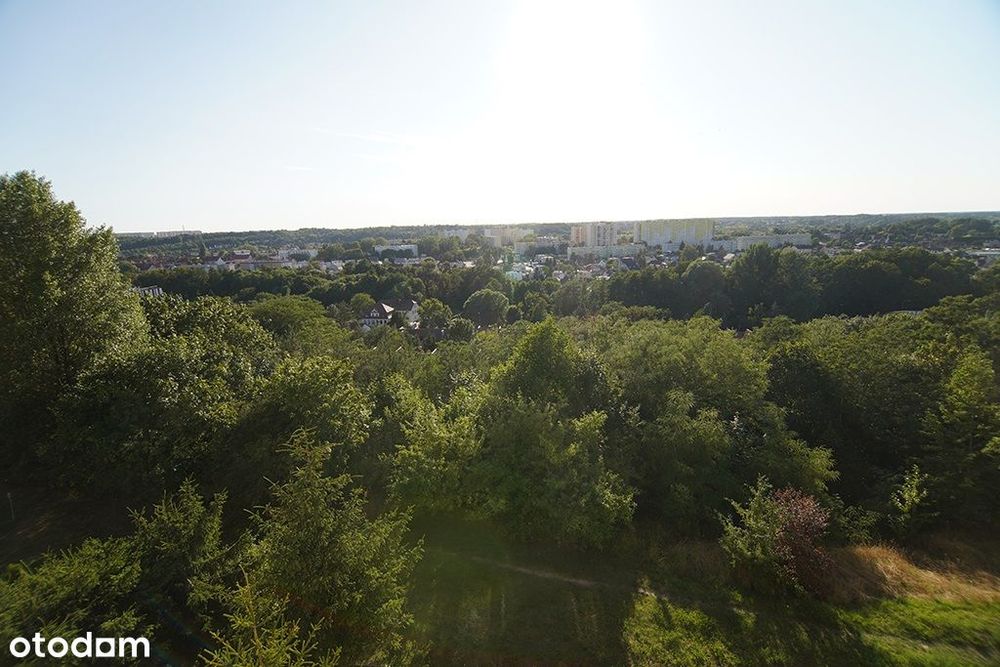 Gorzów Wielkopolski, Górczyn | 3 niezależne pokoje | Widok na park