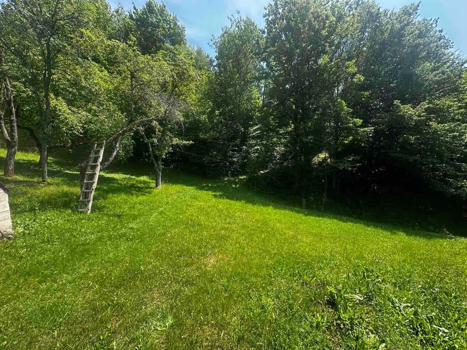 Продається старий будинок з великою земельною ділянкою