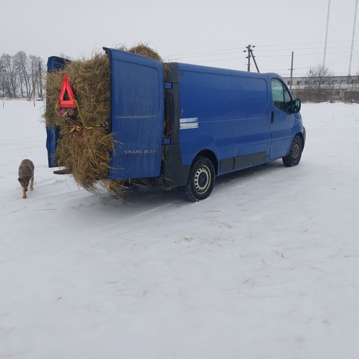 Сіно тюковане без втрати своєї поживності
