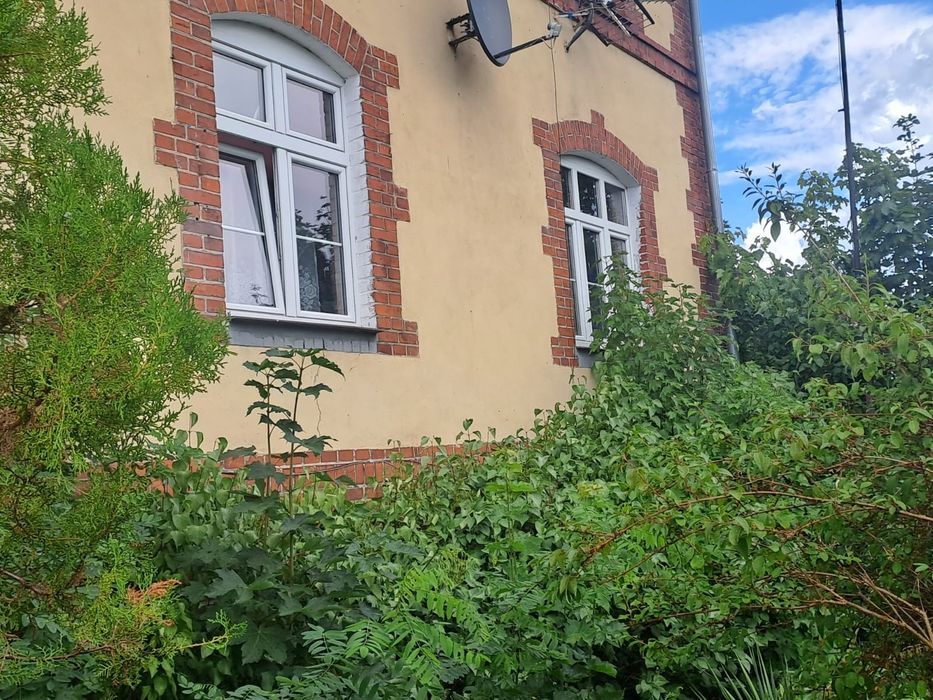 Mieszkanie 50m2 Zwierzyn