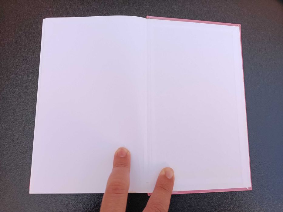 Livro "Finjam que não a vêem", Mary Higgins Clark