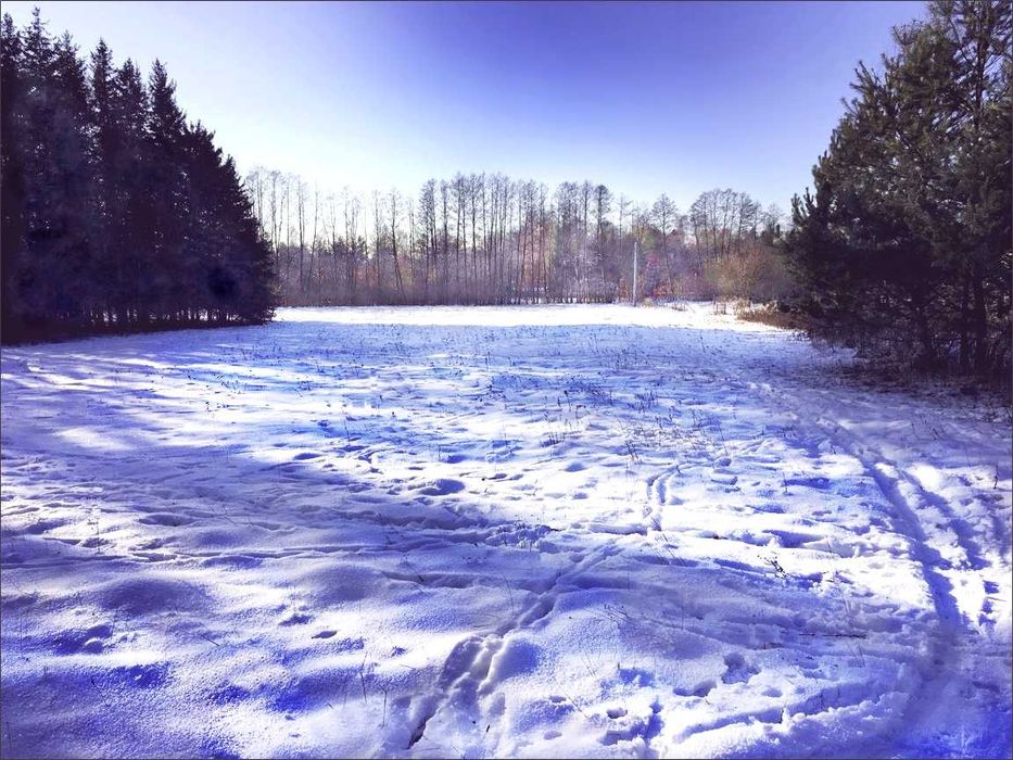 Działka siedliskowa w Skułach - Widok 2