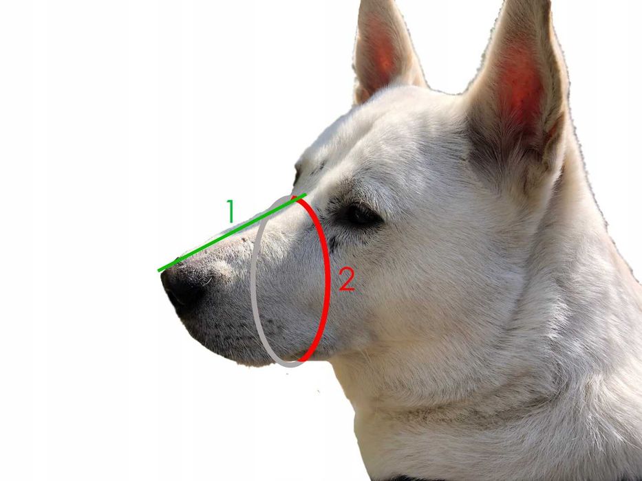 Kaganiec Owczarek Szkoleniowo-bojowy