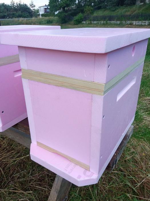 Ule odkładowe sześcio ramkowe, ul wielkopolski