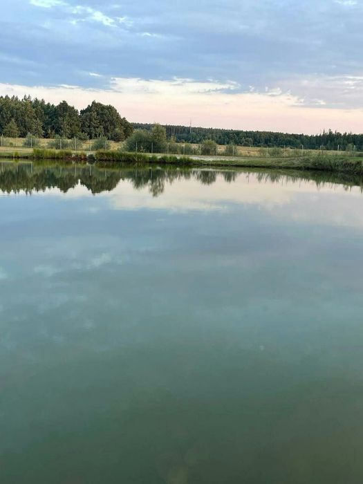 Дом с большим участком и озерами в лесу