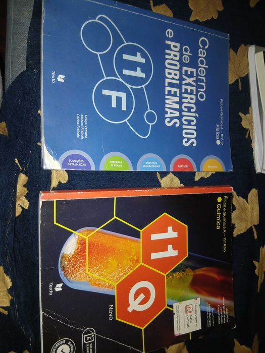 Cadernos de atividades 10 ano428828684390256641