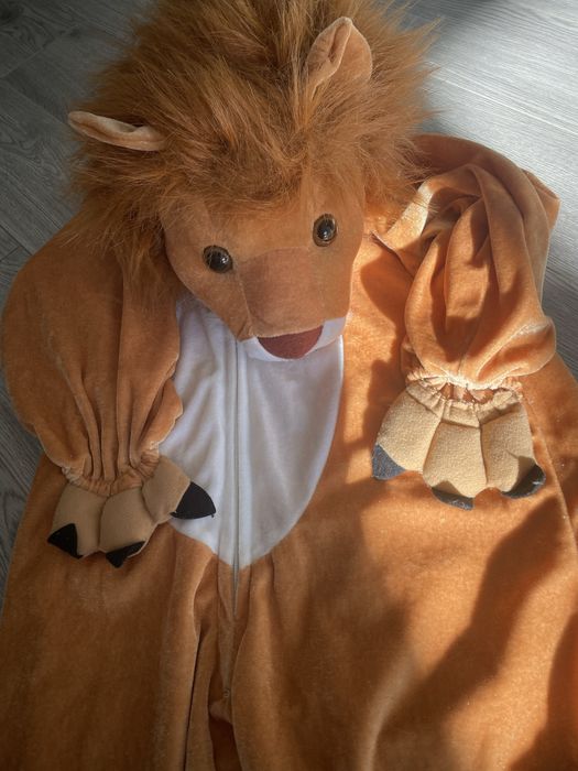 Fato de carnaval leao 5anos