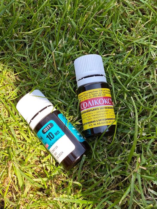 Продам все для кроликів