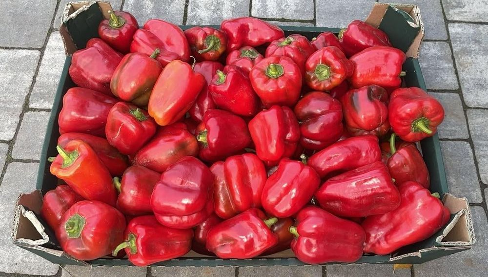Papryka czerwona 10 kg - dla Pani Agaty