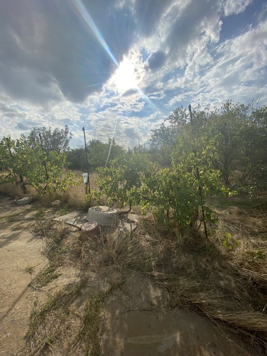 Дім з гарною площею землі