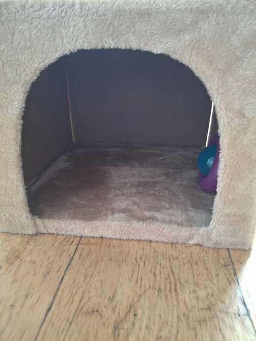 Torre, arranhador, parque, cama/toca para gato