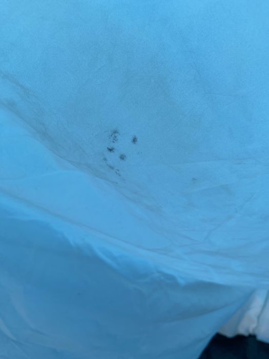 Tenda Quechua 4 pessoas