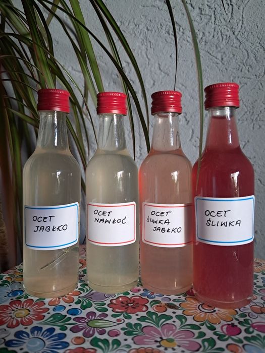 Żywe  octy  4x50ml jabłkowy nawłoć śliwkami jabłkowo śliwkowy