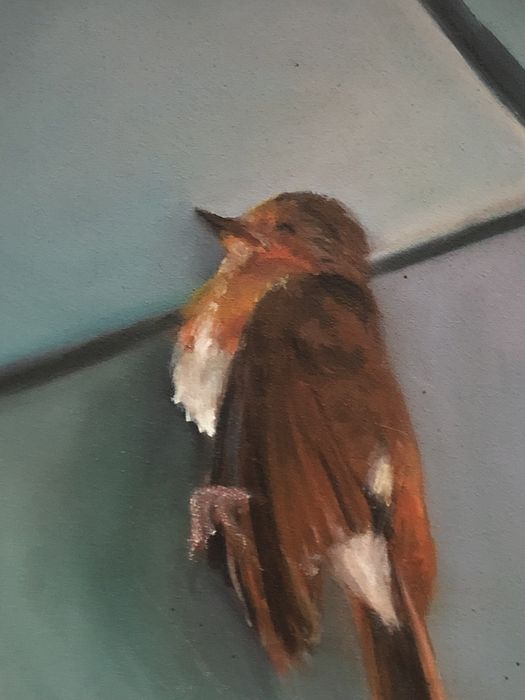 Obraz olejny "Rudzik" 30x40cm