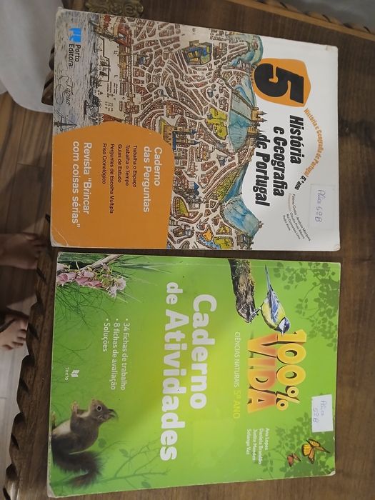 Livros  fichas história e ciências