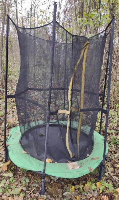 Trampolina dla dzieci