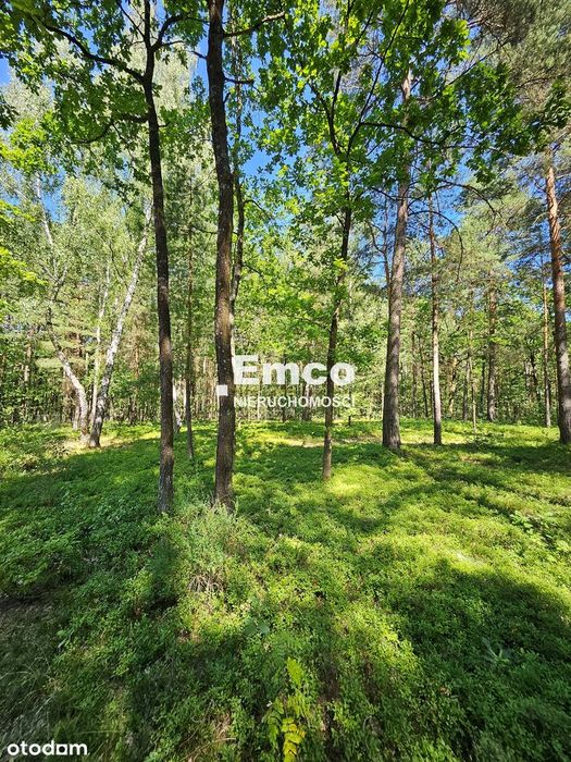 Klimatyczny dom 187 m2, na pięknej, zalesionej działce 5000 m2