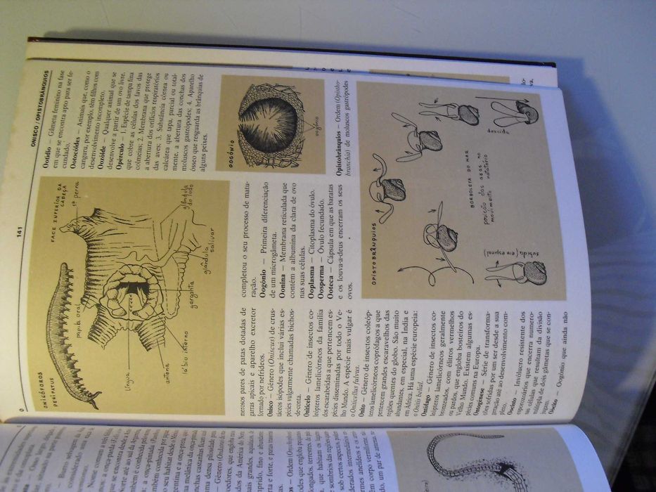Vários;Dicionário de Zoologia Ilustrado