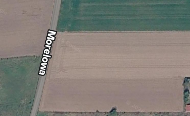 Zdjęcie 4