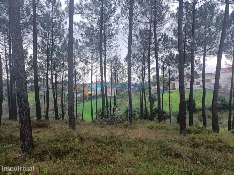ANG1577 - Terreno para Venda em Santa Catarina da Serra
