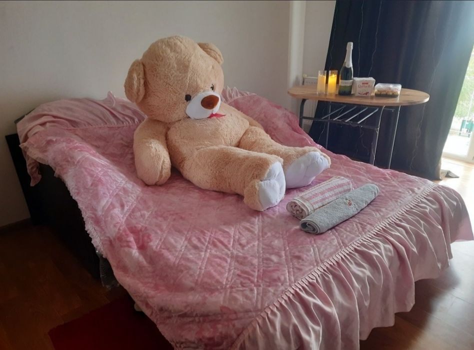 Сдам квартиру посуточно и почасово Харьков.Хтз.Масельского.Косарева 25