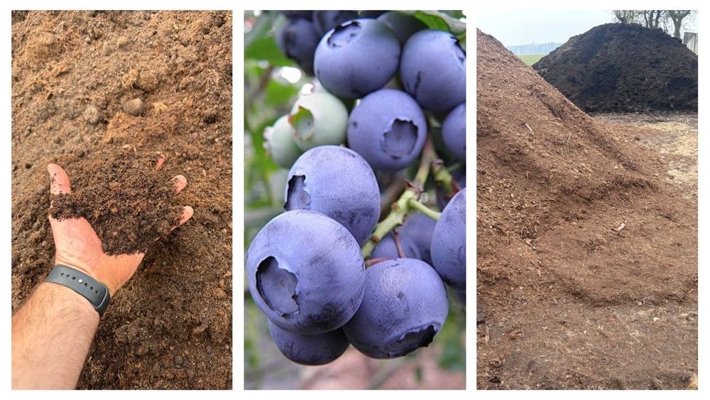 Torf litewski wysoki kwaśny pH 3,5-4,5 dostawy luzem borówka