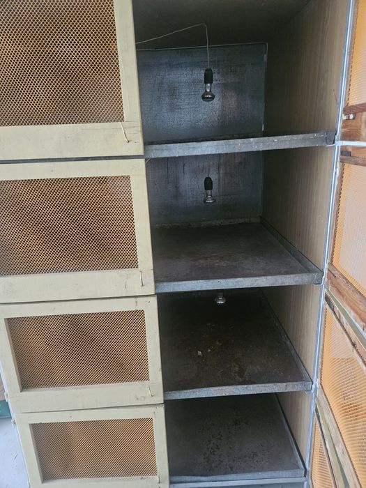 Klatki do odchowu piskląt