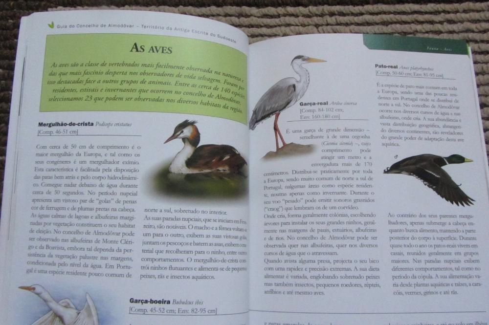 Guia do Conc. de Almodôvar - Território da Antiga Escrita do Sudoeste