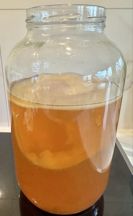 Kombucha | grzyb herbaciany