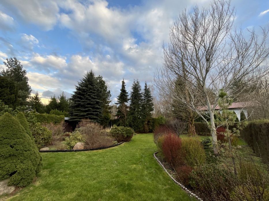 Działka ROD. Krępa Rosa. Chojnowski Park Krajobrazowy. Zalesie Górne.