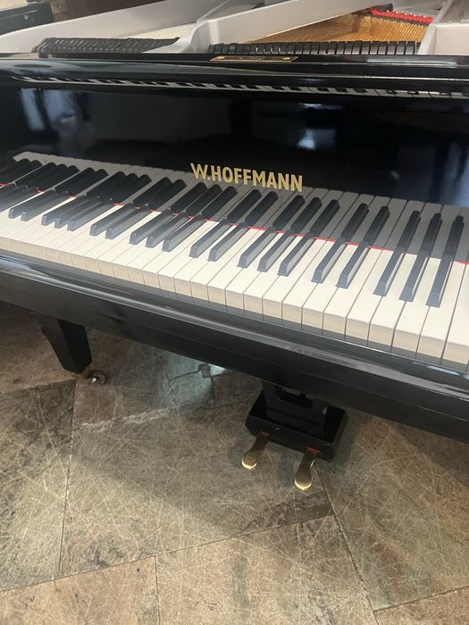 Piano cauda 165 cm grande qualidade W.Hoffmann alemao