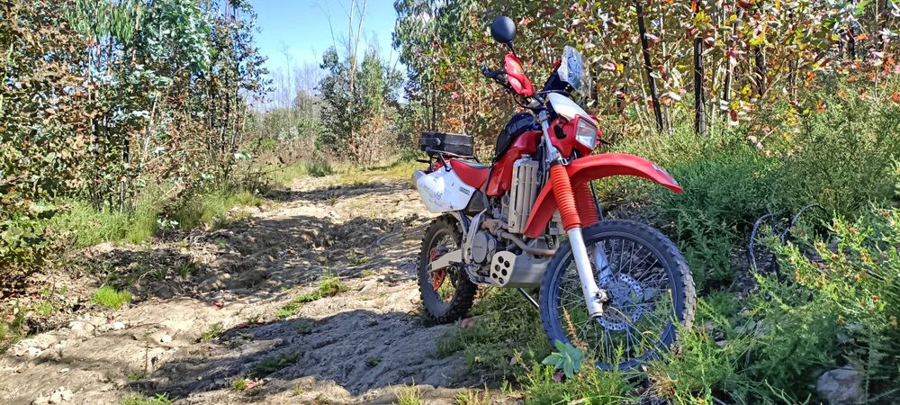 Honda XR 650r 2001