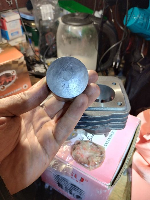 Поршнева msu 65cc. Leaf, tact