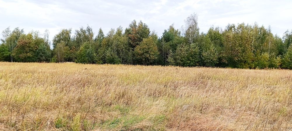 Działka Budowlana z warunkami zabudowy