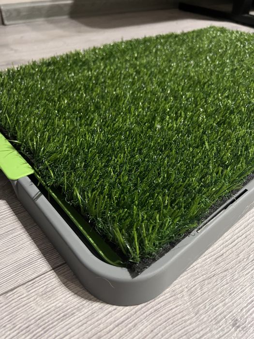 Туалет-лоток для собак 68х43 см