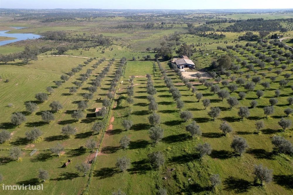 Propriedade privada - Centro Equestre