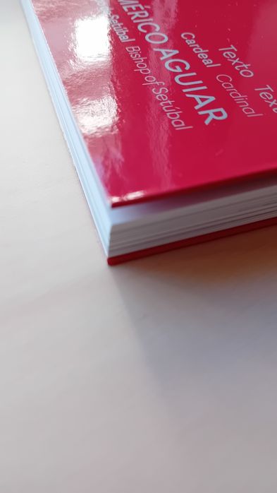 Livro Jornada mundial da juventude 2023