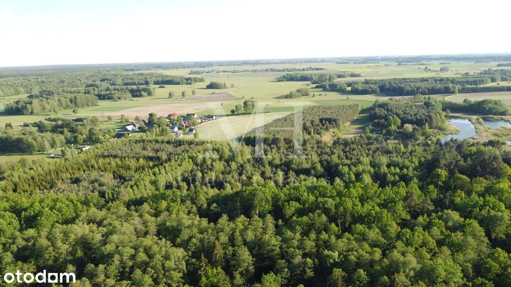 Zielone Podlasie – działka z warunkami zabudowy, blisko Hajnówki!