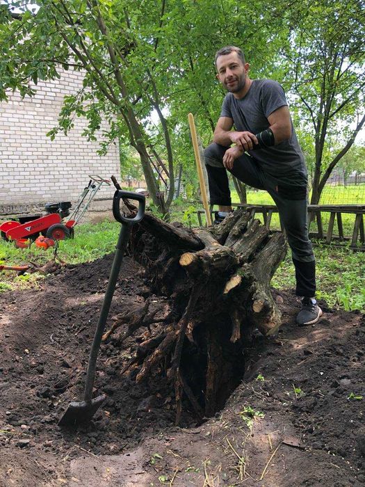 Щепування, подрібнення гілок, розліснення, чистка ділянки