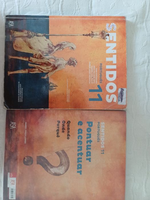 Manual e caderno de atividades de português 11°ano