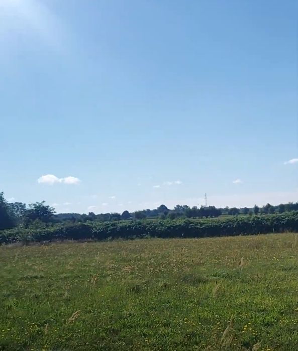 Orpelów gm Dobroń działka 6736 m2 MPZP możliwość podziału