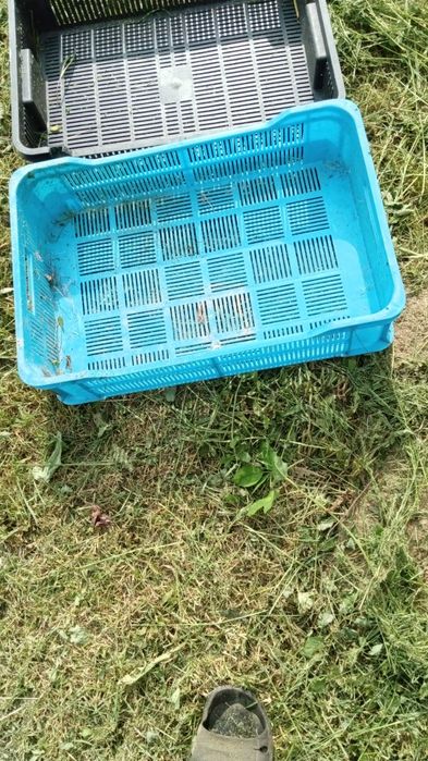 Skrzynki na owoce miękkie