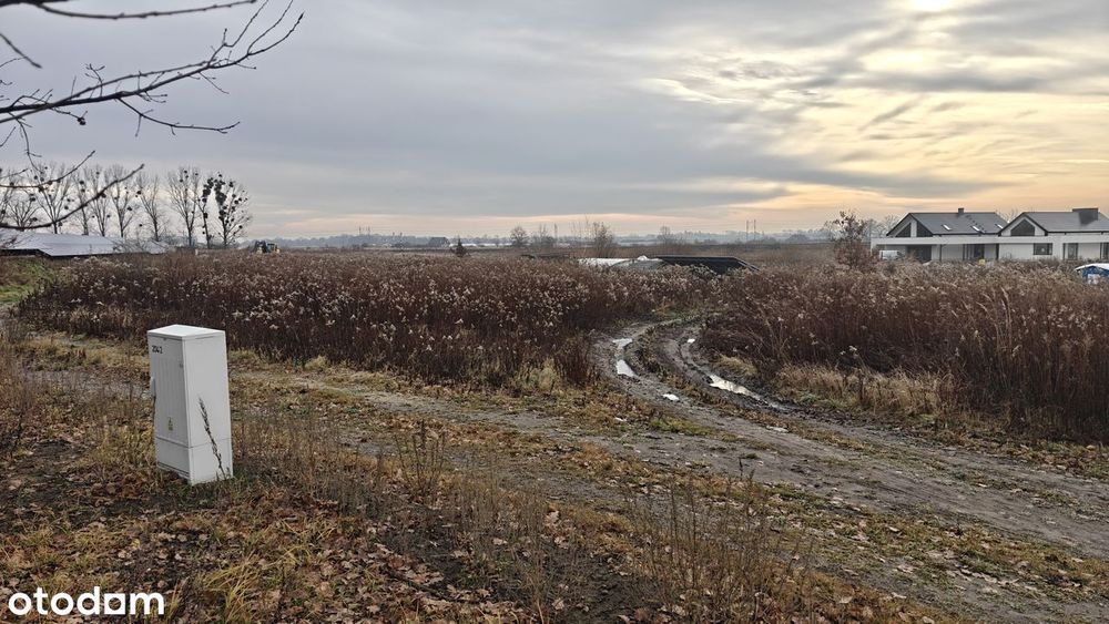 Działka budowlana 1550 m² z asfaltowym dojazdem