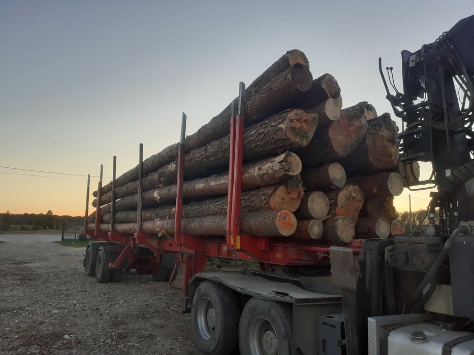Drewno opałowe kominkowe transport