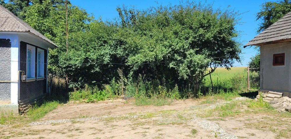 Здам в оренду будинок в с. Сокиринці Хмельницької області