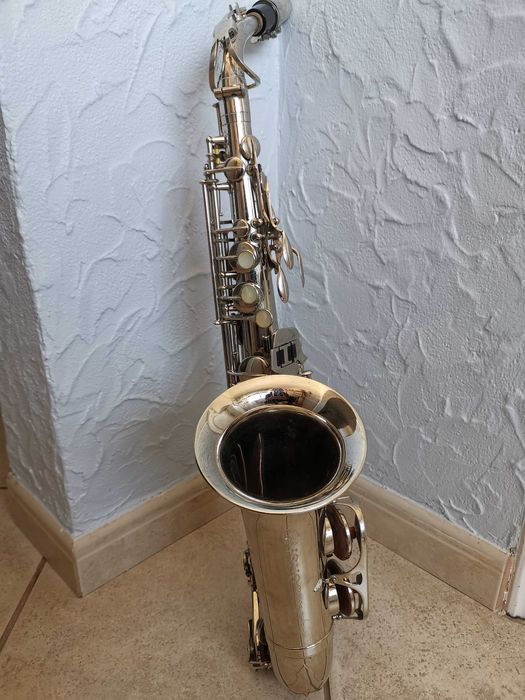 Saxofone Alto Prof Romeo Orsi