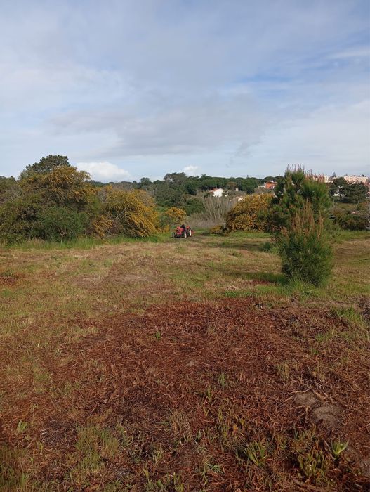 Desmatamento e Limpeza de terrenos