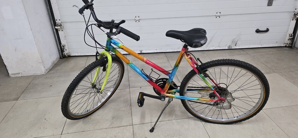 Bicicleta  Superba Roda 24