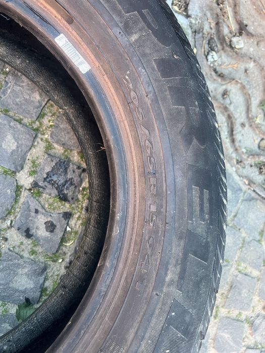 205 65 15 літо Pirelli Barum